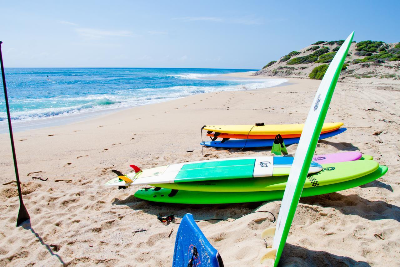 Surf Hostel Cabo "The Riptide" San José del Cabo Dış mekan fotoğraf